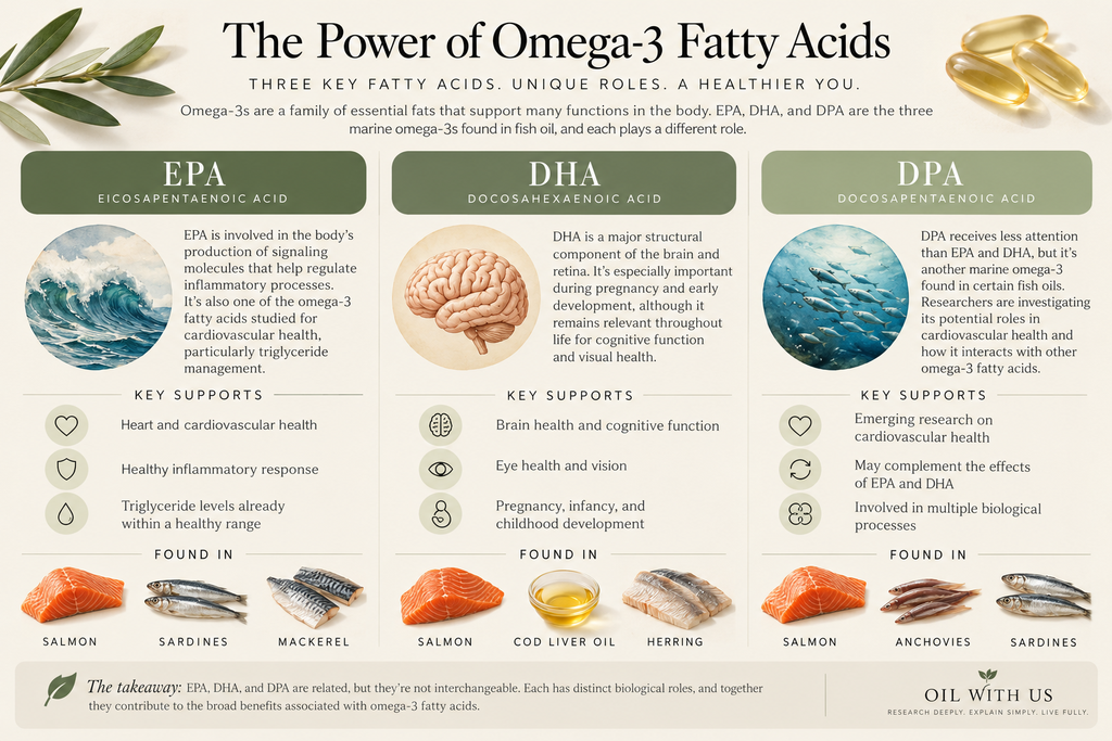 Infographic comparing EPA, DHA, and DPA omega-3 fatty acids, their biological roles, and common marine food sources.